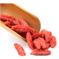 DRIED GOJI BERRY, CHINESE GOJI BERRY, ORGANIC GOJI BERRY